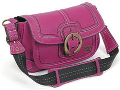 Love It or Leave It? Vituri Camera Satchel