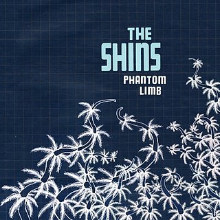 Hot Track: The New Shins Single