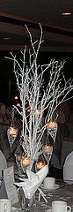 Winter Centre Piece for dinner party
