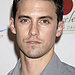 Milo Ventimiglia