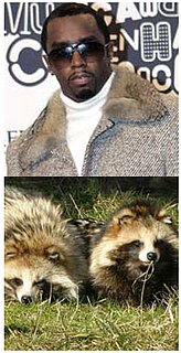 Fab Flash:  The Truth Behind Faux Fur