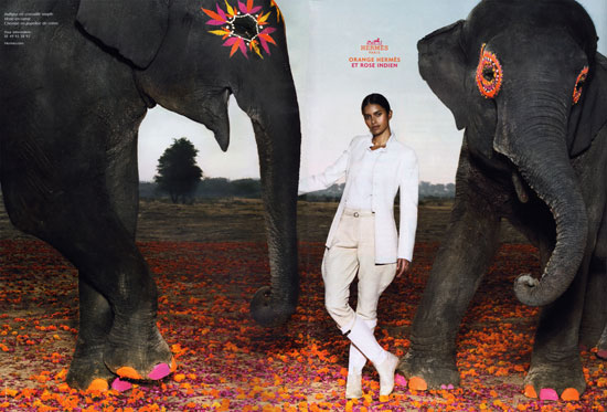 Fab Ad: Hermes Spring 2008 Fab Ad: Hermes Spring 2008
