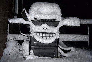 It's a Bird! It's a Skull! It's . . . a Gas Grill Covered in Snow?