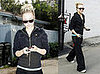 News on Heroes Co-stars Hayden Panettiere and Milo Ventimiglia Dating