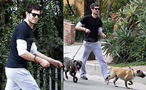 Adam Brody Doubles Up on Doggies