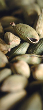Health Benefits of Cardamom and Nutritional Information on the Medicinal Spice