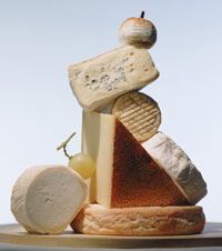 Do You Crave Fatty Foods When It Is Cold Outside?