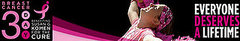 ACTivism: Breast Cancer Three-Day Walk 