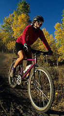 Bike Riding and Back Pain: Part Two 