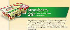 Food Review: Fiber One Creamy Nonfat Yogurt