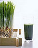 You Asked: What Does Wheatgrass Do For Me