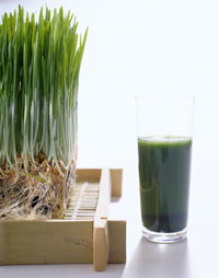 You Asked: What Does Wheatgrass Do For Me