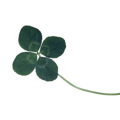Healthy St. Patty's Day to You Healthy St. Patty's Day to You