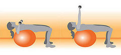 Chest Press on Exercise Ball Chest Press on Exercise Ball