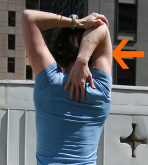 Terrifically Toned Triceps Terrifically Toned Triceps