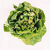 Top 10 Detoxifying Foods