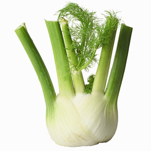 Learn to Love: Fennel 