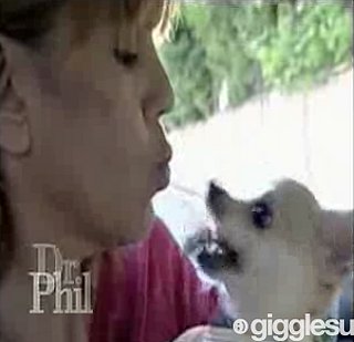 Dr. Phil's Guest Pre-Chews Her Dog's Food