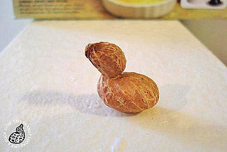 Stuff That Looks Like a Duck