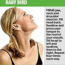 bird bird
