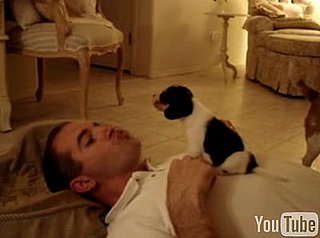 Baby Beagle Learns How to Howl