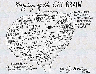 Cat Brain Map
