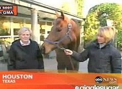 Man Tips Waitress With a Horse