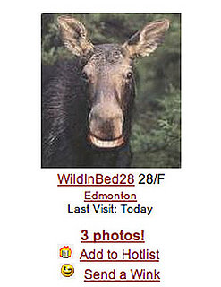 Adult Moosefinder Dating Site