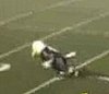 Mascot Falls While Running Across Field
