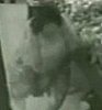 Security Camera Catches Grocery Store Turkey Thief