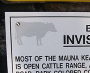 Beware of Invisible Cows Sign