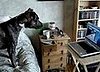 Dog Watches Himself on a Computer