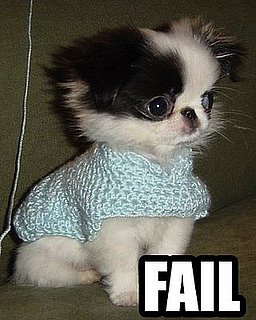 Fail Dogs