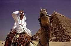 Sundance Review: Where in the World Is Osama Bin Laden? Sundance Review: Where in the World Is Osama Bin Laden?