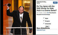Do You Agree with the SAG Television Winners? Do You Agree with the SAG Television Winners?
