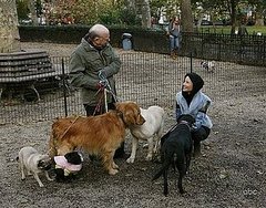 Cashmere Mafia Recap: Episode 7, "Dog Eat Dog"