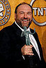 James Gandolfini Goes From Mob Boss to NYC Mayor for Pelham Remake