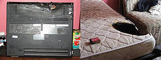 Laptop Spontaneously Ignites On Mattress