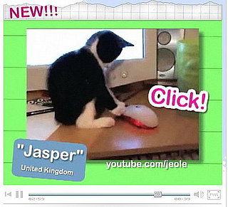 Get Adorable Pet Pictures and Videos on Ultra Kawaii