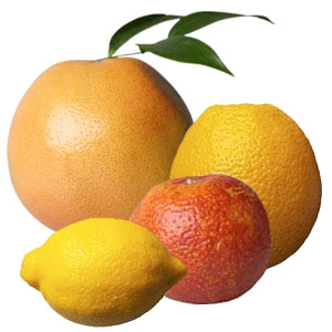 What's in Season: Citrus Is a Winter Fruit