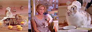 Amy Sedaris's Rabbit Rescue
