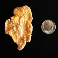 Illinois-Shaped Cornflake Sells for $1,350