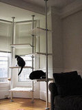 Ikea Closet Makes Great Cat Trees Ikea Closet Makes Great Cat Trees