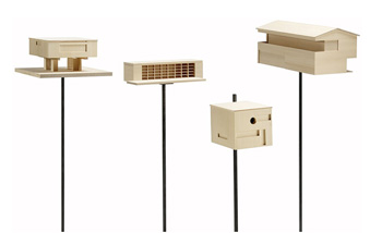 Stylish Bird Feeders for a Modern Home