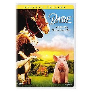 My Favorite Animal Flicks