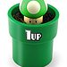 Grow Your Own 1UP Mushroom