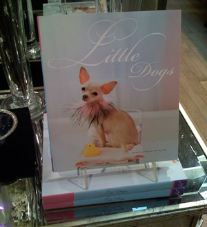 Little Dogs Book for The Small Dog Lover