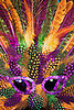 Get Flashy With Your Mardi Gras Decor