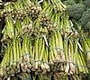 What's in Season: Asparagus