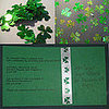 Come Party With Me: St. Patrick's Day — Invite